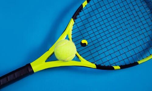 parts of a babolat tennis racket