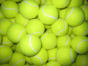 pelotas de tenis wilson